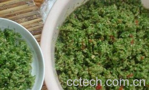 韭菜花的功效与作用及食用方法-0