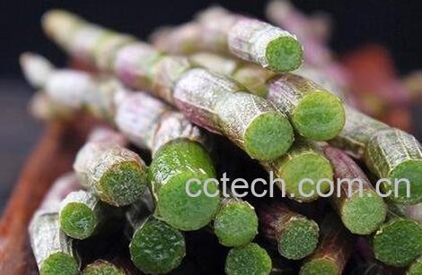 新鲜石斛的功效与作用-0