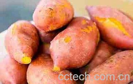 红薯要煮多长时间-0