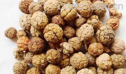 豆蔻的功效与作用-0