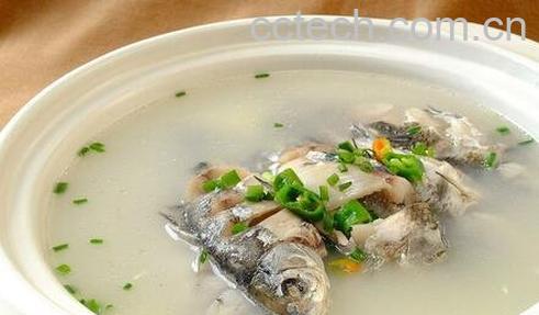 佛手瓜的种植方法-0