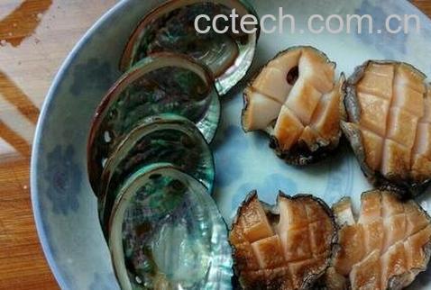 鲍鱼壳的药用价值-0