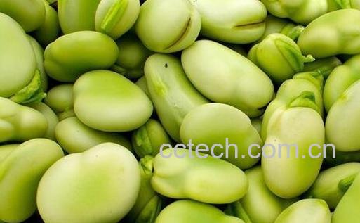 吃蚕豆的好处-0