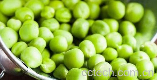 碗豆有什么营养价值-0