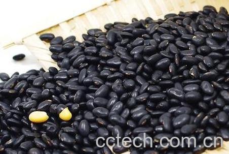黑豆怎么吃-0