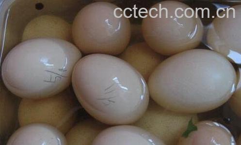 最简单的鸡蛋腌制方法图解-0