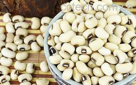 白眉豆的功效与作用-0