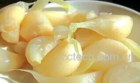 最简单的白醋腌制蒜-0