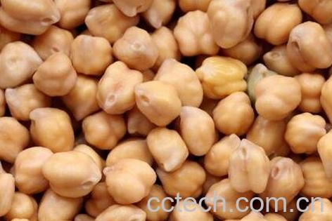 鹰嘴豆的功效与作用及禁忌-0