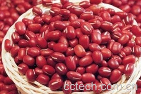 红小豆的功效与作用及食用方法-0