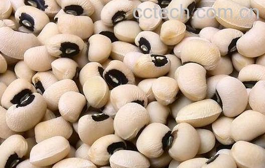 眉豆的功效与作用-0