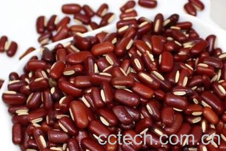 赤小豆和红豆的区别-0