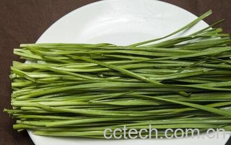  韭菜药用价值-0