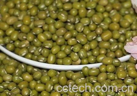 绿豆药用价值-0