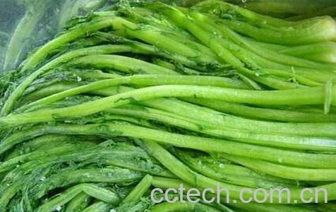 酸雪里蕻的腌制方法-0