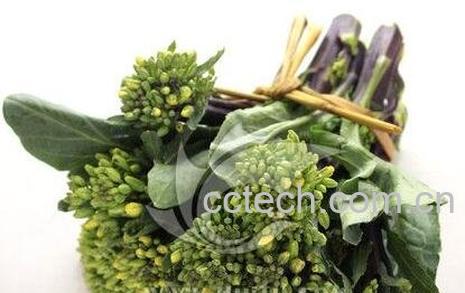 芥蓝菜花的功效与作用-0