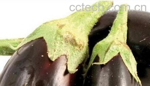 煮茄子蒂水有什么功效-0