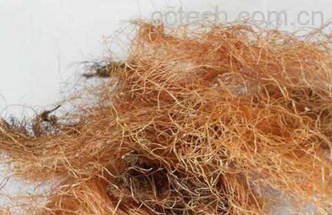 孕妇喝玉米须的功效与作用-0