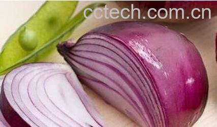 紫圆葱的功效与作用-0