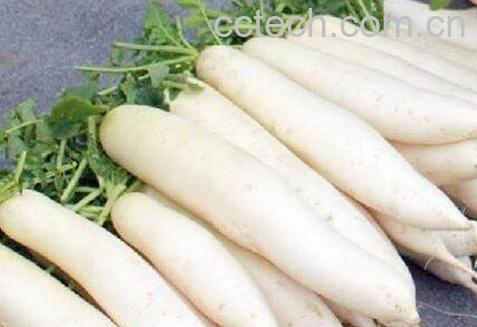 白萝卜不能和什么一起吃-0