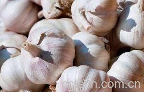 大蒜的功效与作用的做法-0