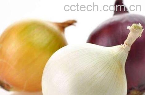 紫圆葱和白洋葱的区别-0