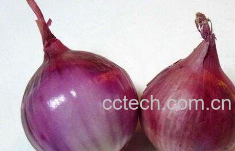 紫色洋葱的功效与作用-0