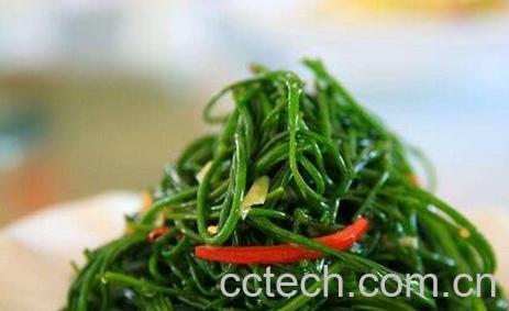 怎样腌制沙葱不发黄-0