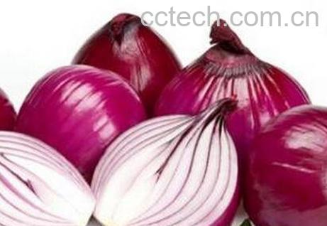 紫洋葱和白洋葱哪个营养价值更高-0