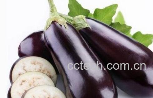 紫色茄子皮能吃吗 -0