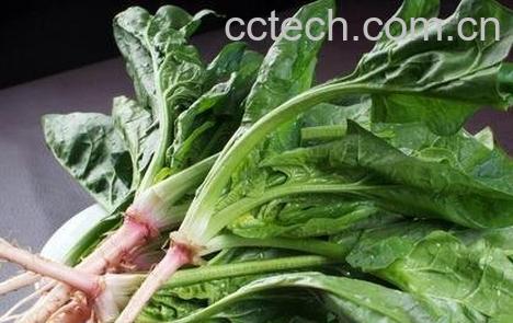 菠菜不能和什么一起吃 -0