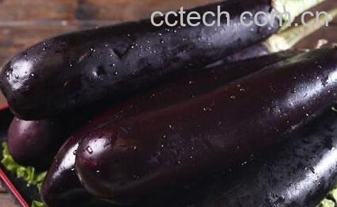 紫茄子的功效与作用-0