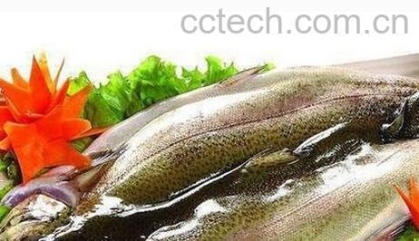 鳟鱼的营养价值-0