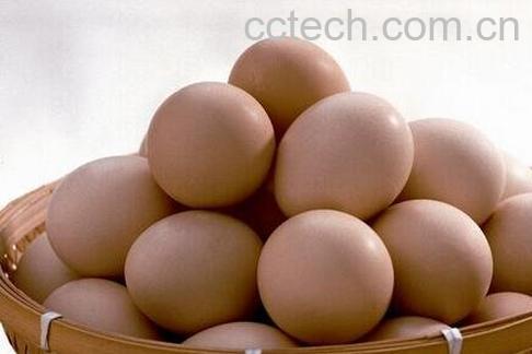 土鸡蛋的营养价值是什么-0