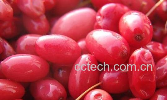 山鱼肉的功效与作用-0