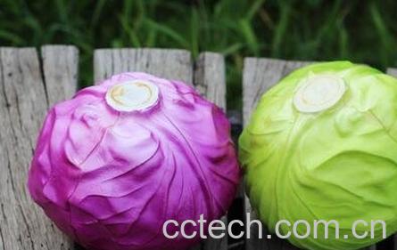 紫甘蓝与包菜的区别-0