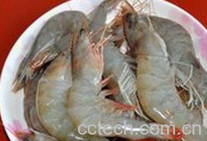 大虾和小虾营养价值一样吗 -0