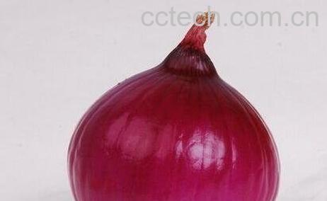 圆葱与洋葱有区别吗-0