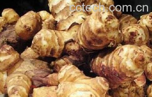 紫油姜怎么做才好吃-0