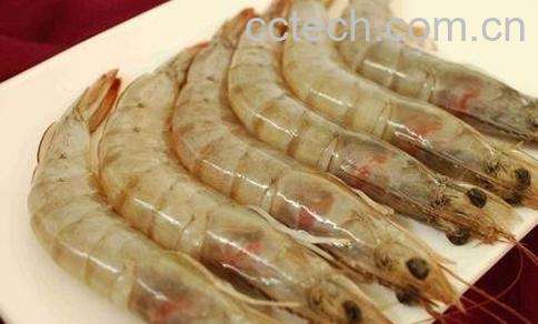 大虾什么部位不能吃-0