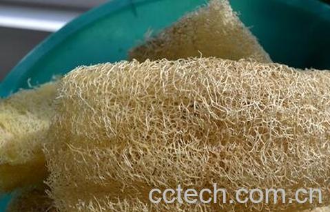 干水瓜壳的功效与作用-0