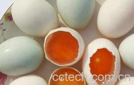 鸭蛋不能和什么一起吃-0