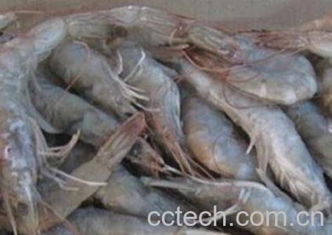 带壳冻虾怎么做好吃-0