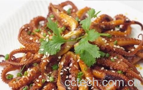 八爪鱼的营养价值及功效-0