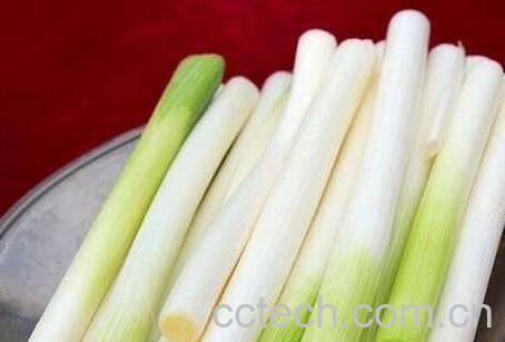 长期生吃大葱有什么坏处-0