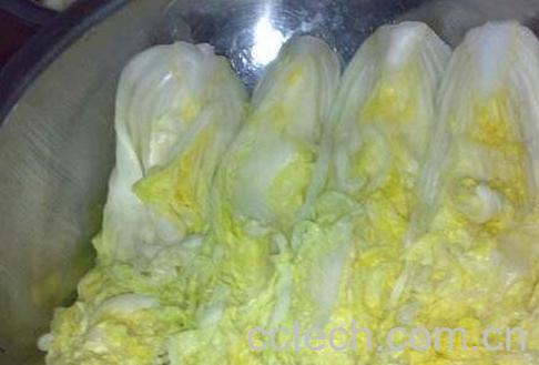 韩国白菜的腌制方法-0