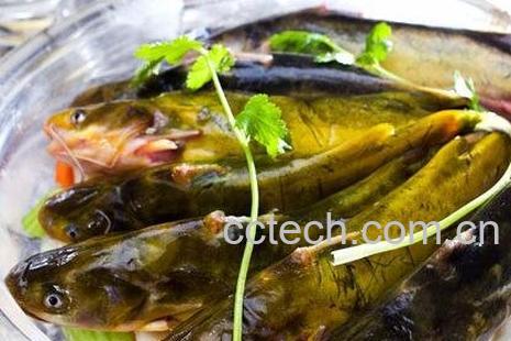 昂公的营养价值-0