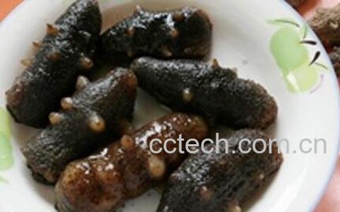 澳洲海参的营养价值-0