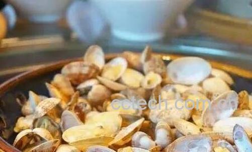 油蛤干的营养价值-0