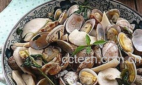 花蛤壳的功效与作用-0